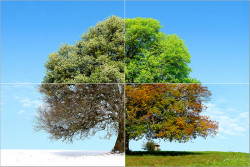 Von der Jury auf den 1. Platz gesetzt