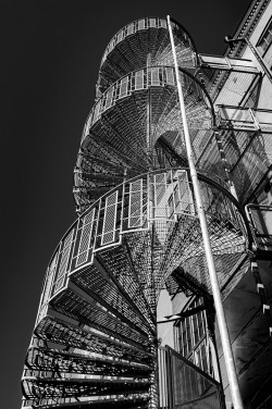 Platz 1 und Siegerbild