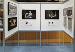 Bilder von M. Weichinger