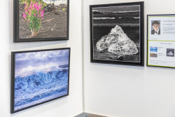 © Bezirksvorstehung Meidling