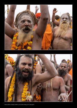 Naga Sadhus auf dem Weg zum Sangam