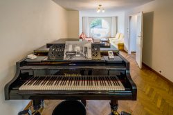 Villa Beer - Musiksalon und Tee-Raum